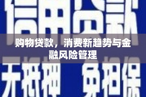 永德购物贷款，消费新趋势与金融风险管理