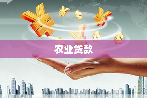 永德农业贷款
