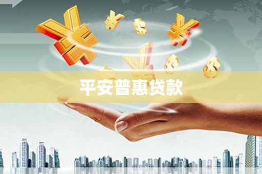 永德平安普惠贷款