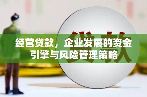 永德经营贷款，企业发展的资金引擎与风险管理策略
