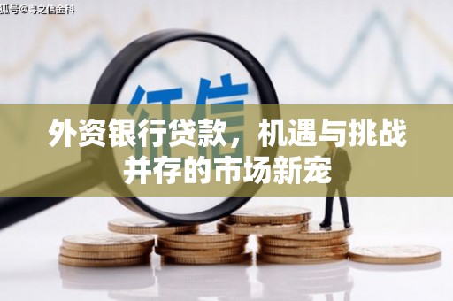 永德外资银行贷款，机遇与挑战并存的市场新宠