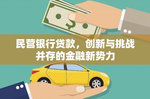 永德民营银行贷款，创新与挑战并存的金融新势力