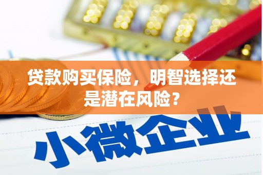 永德贷款购买保险，明智选择还是潜在风险？