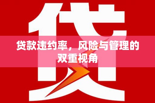 永德贷款违约率，风险与管理的双重视角