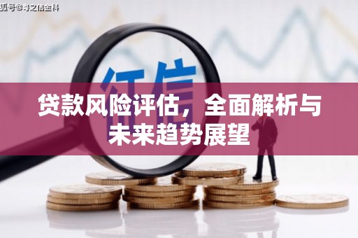 永德贷款风险评估，全面解析与未来趋势展望