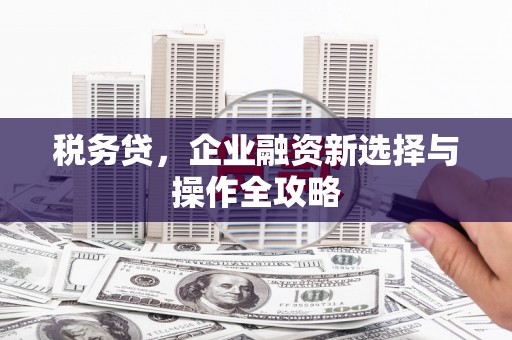永德税务贷，企业融资新选择与操作全攻略