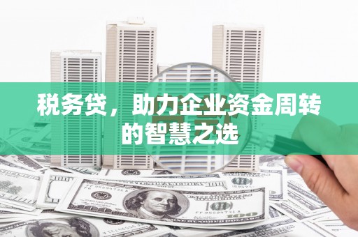 永德税务贷，助力企业资金周转的智慧之选