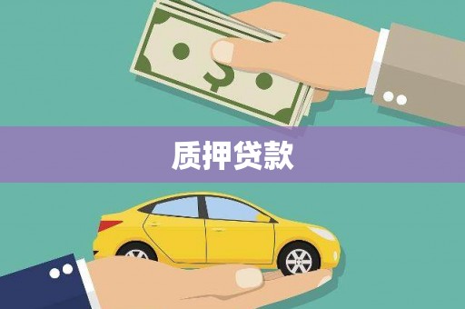永德质押贷款