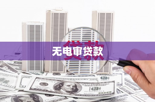 永德无电审贷款