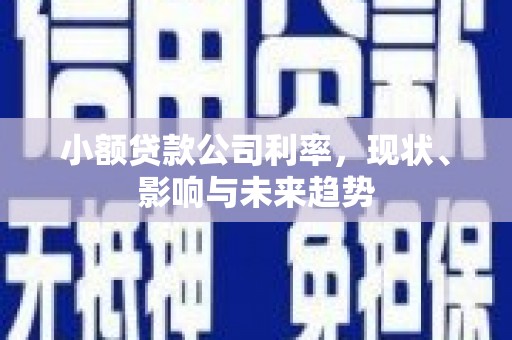 永德小额贷款公司利率，现状、影响与未来趋势