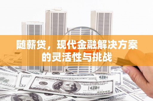 永德随薪贷，现代金融解决方案的灵活性与挑战