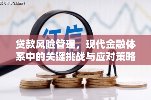永德贷款风险管理，现代金融体系中的关键挑战与应对策略
