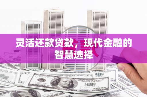 永德灵活还款贷款，现代金融的智慧选择