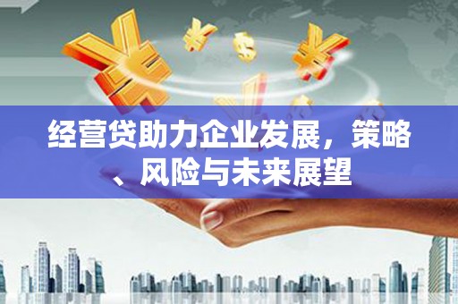 永德经营贷助力企业发展，策略、风险与未来展望