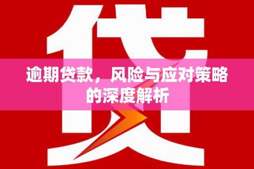 永德逾期贷款，风险与应对策略的深度解析