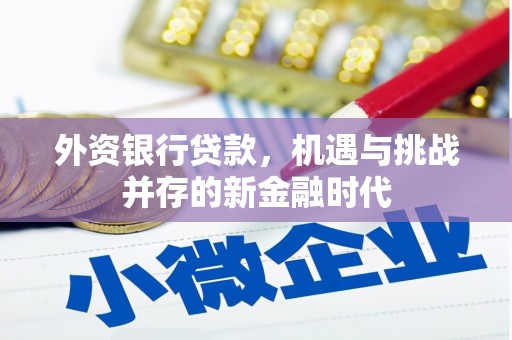 永德外资银行贷款，机遇与挑战并存的新金融时代