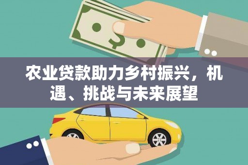永德农业贷款助力乡村振兴，机遇、挑战与未来展望