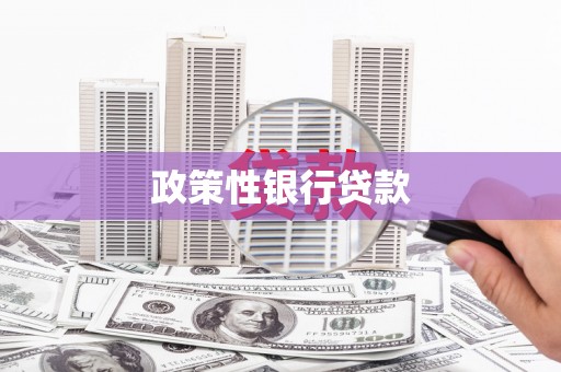 永德政策性银行贷款