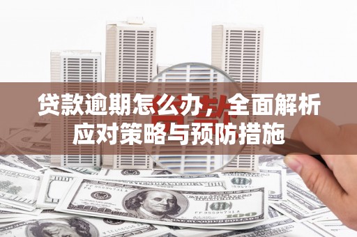 永德贷款逾期怎么办，全面解析应对策略与预防措施