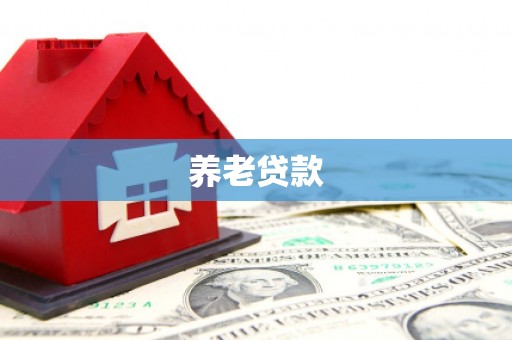 永德养老贷款