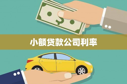 永德小额贷款公司利率