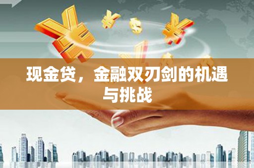 永德现金贷，金融双刃剑的机遇与挑战