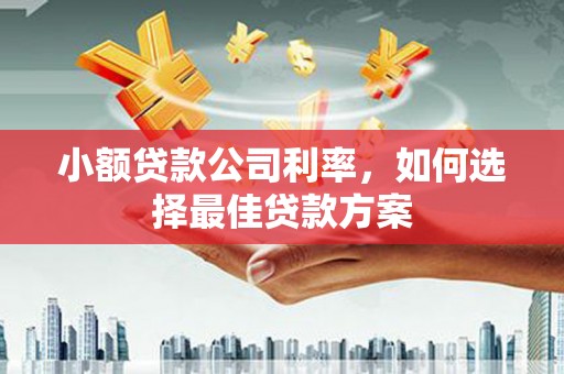永德小额贷款公司利率，如何选择最佳贷款方案
