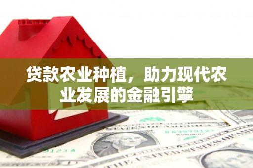 永德贷款农业种植，助力现代农业发展的金融引擎