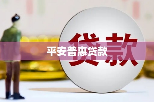 永德平安普惠贷款