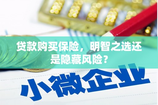 永德贷款购买保险，明智之选还是隐藏风险？