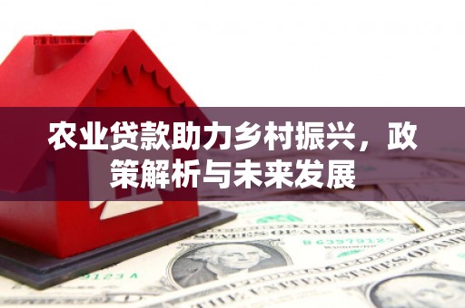 永德农业贷款助力乡村振兴，政策解析与未来发展