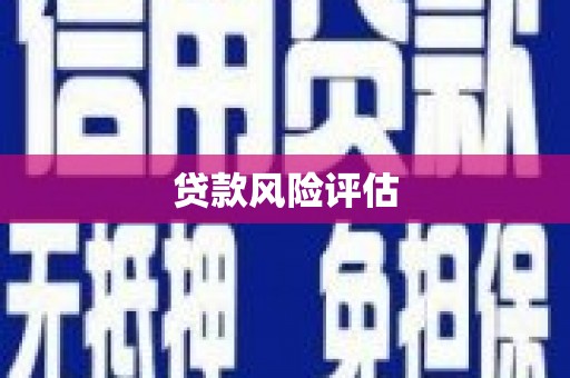 永德贷款风险评估