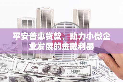 永德平安普惠贷款，助力小微企业发展的金融利器