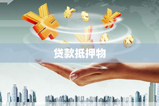 永德贷款抵押物
