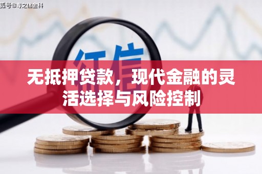 永德无抵押贷款，现代金融的灵活选择与风险控制