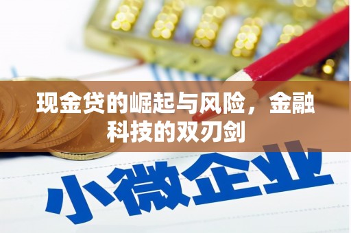 永德现金贷的崛起与风险，金融科技的双刃剑