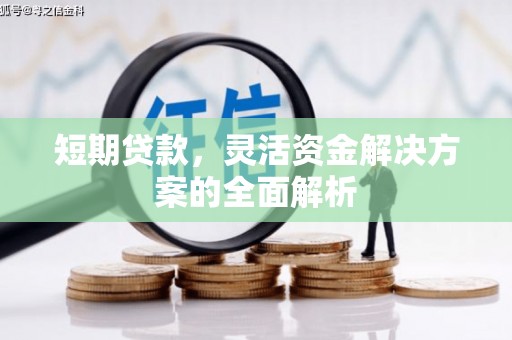 永德短期贷款，灵活资金解决方案的全面解析