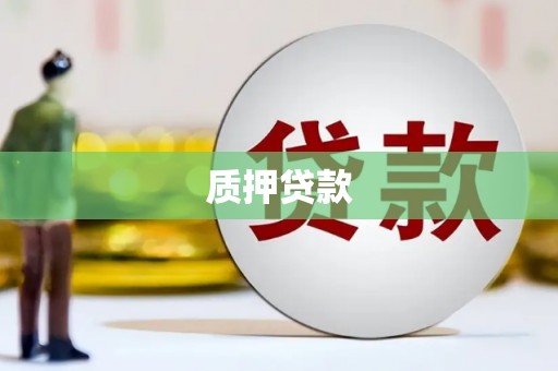 永德质押贷款
