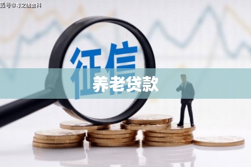永德养老贷款