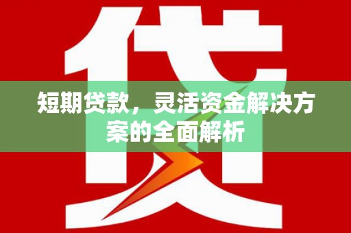 永德短期贷款，灵活资金解决方案的全面解析