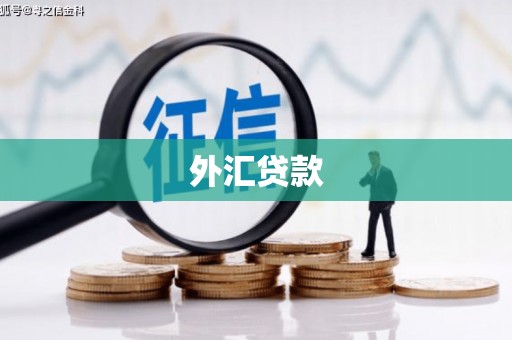 永德外汇贷款