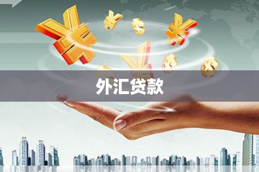 永德外汇贷款