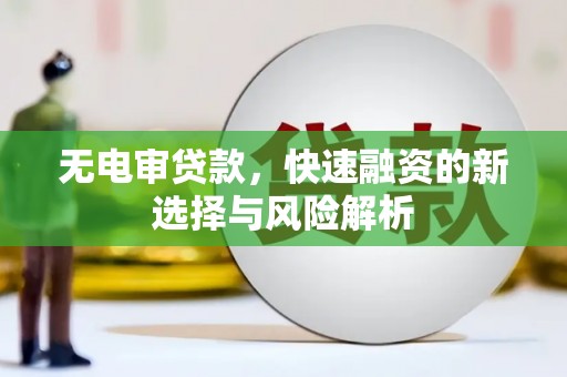 永德无电审贷款，快速融资的新选择与风险解析