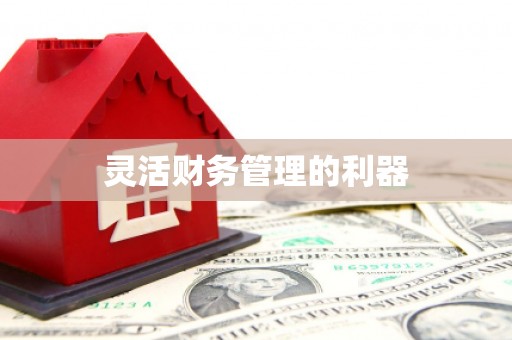 永德灵活财务管理的利器