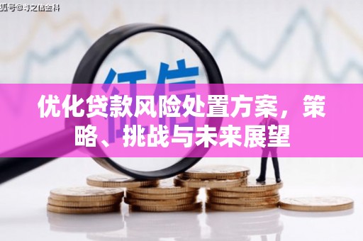 永德优化贷款风险处置方案，策略、挑战与未来展望