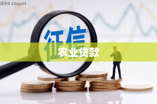 永德农业贷款