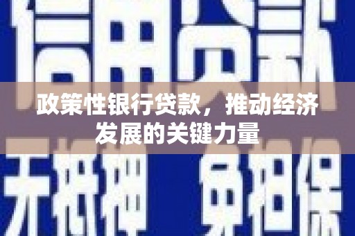 永德政策性银行贷款，推动经济发展的关键力量