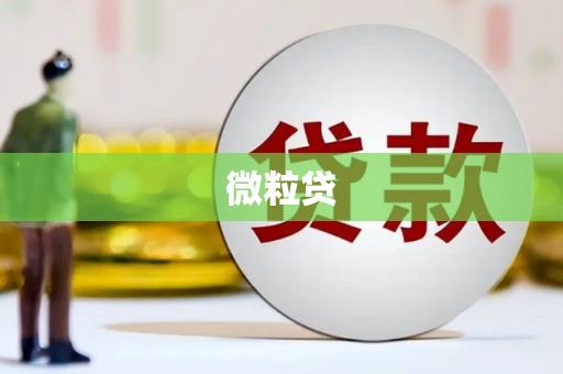 永德微粒贷