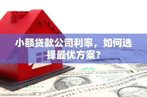 永德小额贷款公司利率，如何选择最优方案？