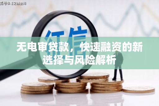 永德无电审贷款，快速融资的新选择与风险解析